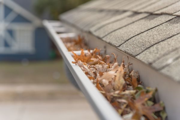 Leaf Barrier Installation in Overland Park